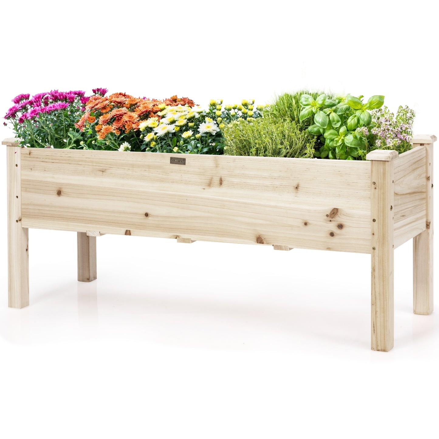 LIVSK Verhoogd Tuinbed van Cederhout - Comfortabele Hoogte 51 cm - 5 Drainagegaten - Draagvermogen 100 kg - 120 x 43,5 x 51 cm -