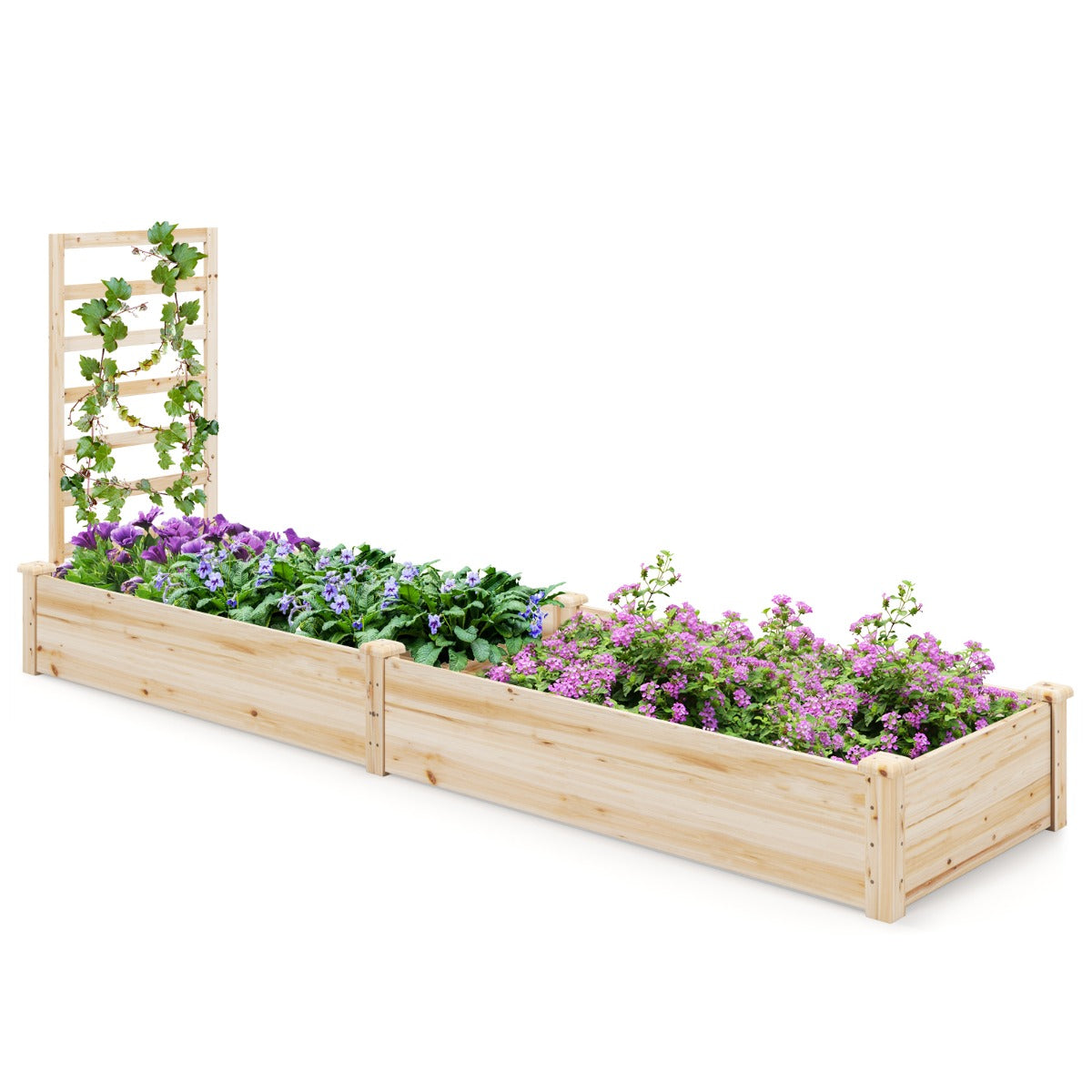 LIVSK Verhoogde Plantenbak met Klimhulp - 2 Vakken voor Diverse Planten - Open Bodem voor Goede Afwatering - Natuur
