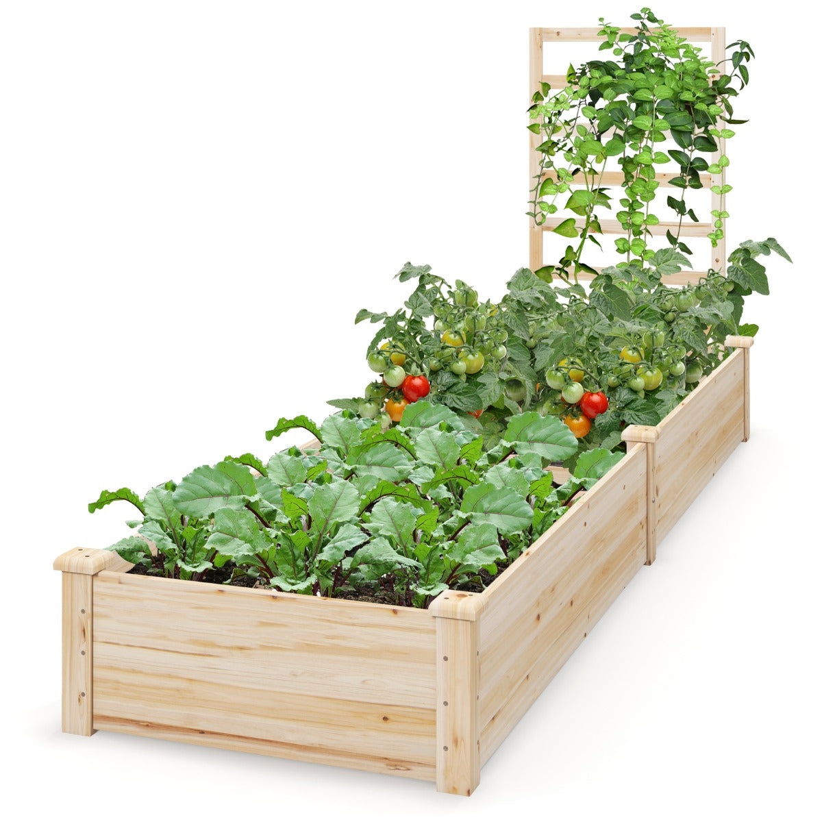 LIVSK Verhoogde Plantenbak met Klimhulp - 2 Vakken voor Diverse Planten - Open Bodem voor Goede Afwatering - Natuur