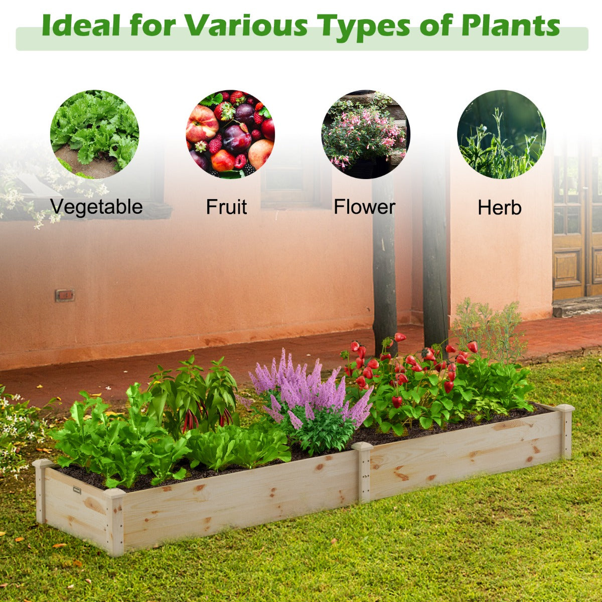 LIVSK Verhoogde Plantenbak - Massief Dennenhout - Eenvoudige Montage - Open Bodem voor Optimale Groei - 240 x 60 x 25 cm - Natuur