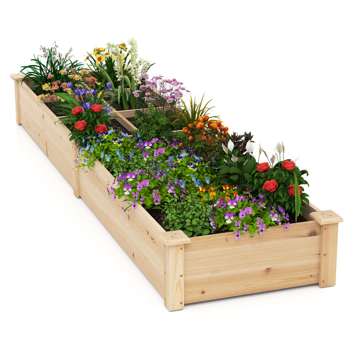 LIVSK Grote Verhoogde Houten Plantenbak - 2 Compartimenten met Verdelers - Duurzaam Sparrenhout - Open Basis - 228 x 62 x 25 cm -