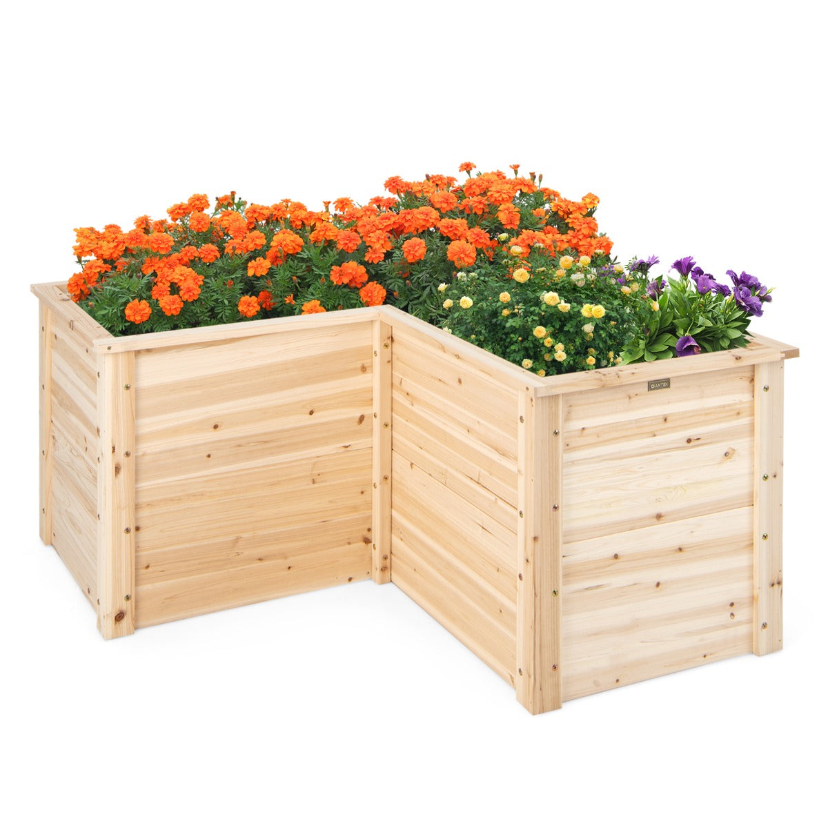 LIVSK L-vormige verhoogde plantenbak van massief dennenhout - Ideaal voor bloemen en groenten - 120 x 120 x 62 cm - Natuurlijk