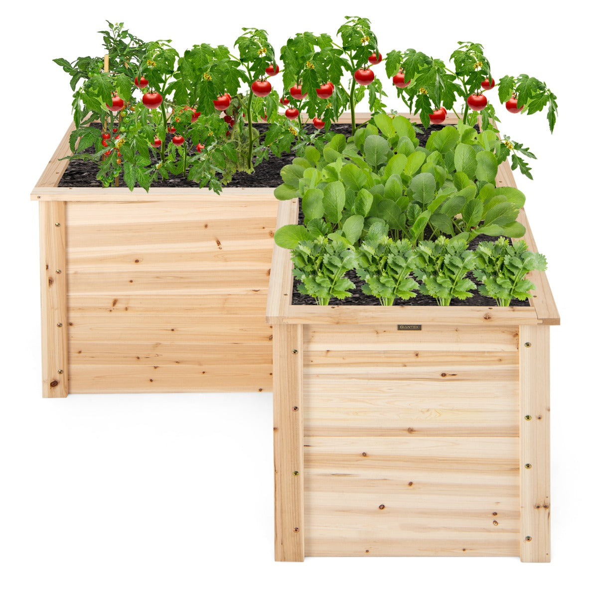 LIVSK L-vormige verhoogde plantenbak van massief dennenhout - Ideaal voor bloemen en groenten - 120 x 120 x 62 cm - Natuurlijk