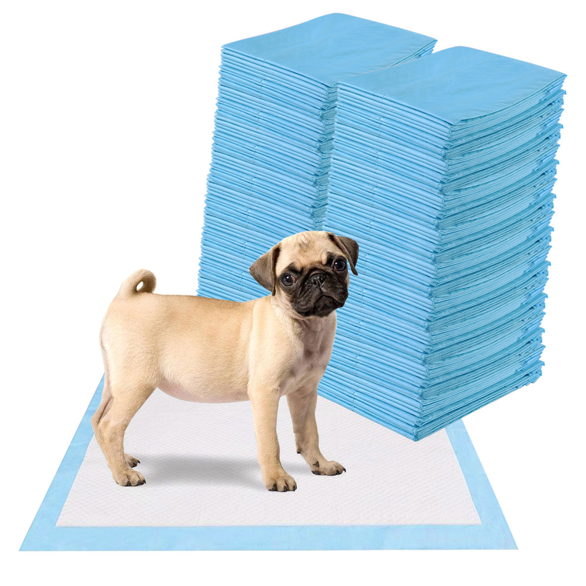 LIVSK Huisdier Trainingsmatten - Wegwerp 5-Laags - Super Absorberend en Lekvrij - Hypoallergeen - 60 x 60 cm - Wit en Blauw