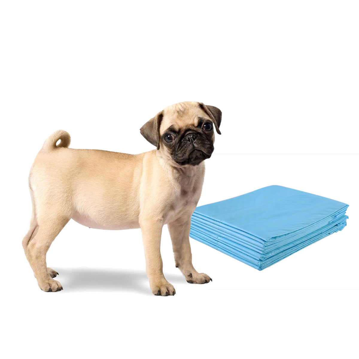 LIVSK Huisdier Trainingsmatten - Wegwerp 5-Laags - Super Absorberend en Lekvrij - Hypoallergeen - 60 x 60 cm - Wit en Blauw