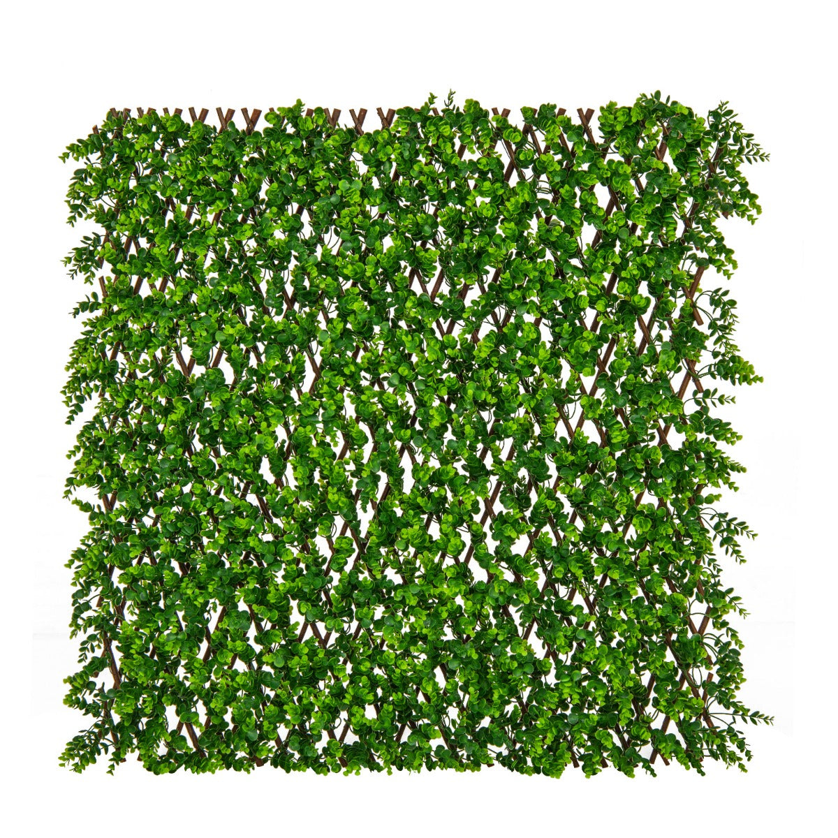 LIVSK Uitzetbare Omheiningspaneel - Natuurlijke Wilgentenen - Onderhoudsvrij - Flexibel Ontwerp - 180 x 90 cm - Groen