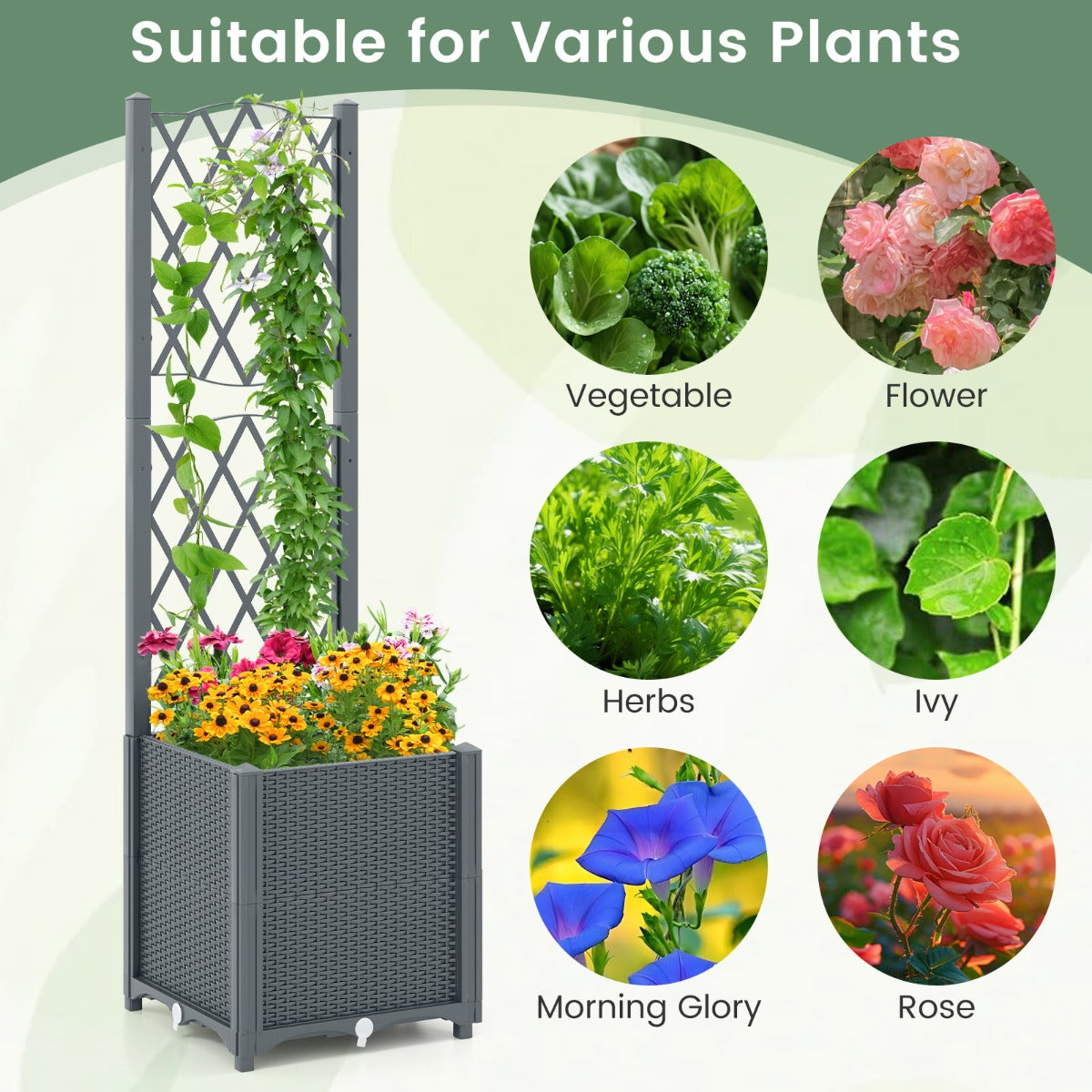LIVSK Verhoogd Tuinbed 2-in-1 - Zelfbewateringssysteem - Uitbreidbaar Ontwerp - Stevig PP-Materiaal - 40 x 40 x 140 cm - Grijs