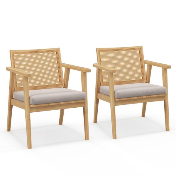 Livsk Set Van 2 Moderne Accentstoelen Comfortabele Fauteuils In De Woonkamer Met Ademende Rotan Rugleuning En Afneembaar Zitkussen 1.jpg