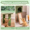 160 cm cactuskrabpaal met meerdere verdiepingen krabpaal en sisal ladder gewatteerde zitstokken hangend speelgoed mand 6