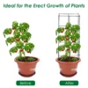 4 delige tomaten klimsteun plantensteunen voor verticale groei stevig klimrek voor druiven paprika’s wijnranken bloemen 6
