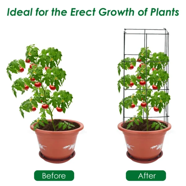 4 delige tomaten klimsteun plantensteunen voor verticale groei stevig klimrek voor druiven paprika’s wijnranken bloemen 6