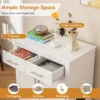 Kattenbakmeubel bijzetkast voor katten 2 laden dubbele deuren anti kantelbeveiliging modern binnenmeubel voor katten met opbergruimte 5