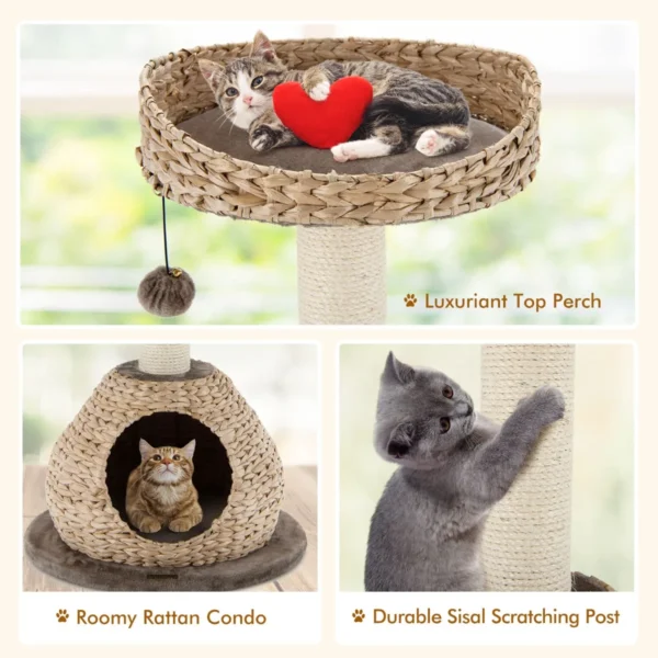 Kattenboom huisje met natuurlijke sisal krabpaal opknoping bal kat activiteit centrum katten toren katten toren meubel 6