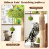 Krabpaal katten kattenboom met kattenhol in boomgatvorm massief hout kattentoren met jute zuil ligoppervlakken bal kattenmeubel 4