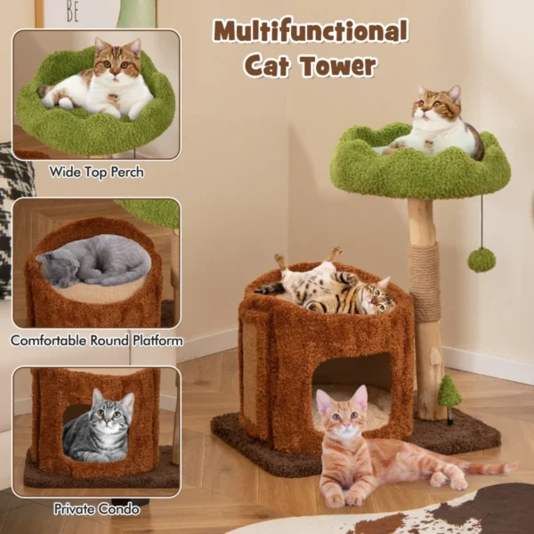 Krabpaal katten kattenboom met kattenhol in boomgatvorm massief hout kattentoren met jute zuil ligoppervlakken bal kattenmeubel 6