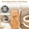 Moderne kattenboom met rotanmat 3 hangende speelgoedballen grote nis platform zitstok sisal krabpalen pluche rand natuur 6