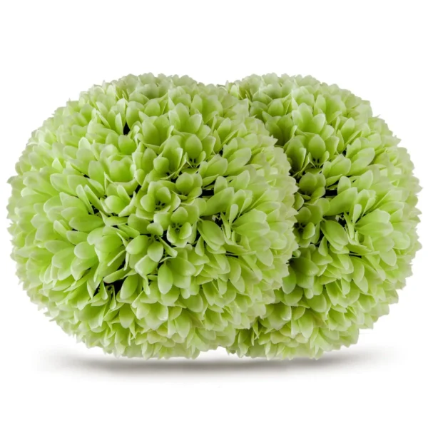 Pak van 2 kunst buxus bollen 28 cm tuinbol voor binnen of buiten om op te hangen of te staan voor tuin veranda huis bruiloft groen 2