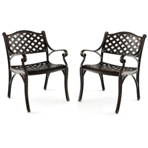 Set van 2 tuinstoelen van gegoten aluminium weerbestendige terrasstoelen met armleuningen balkonstoelen voor tuin balkon achtertuin 1
