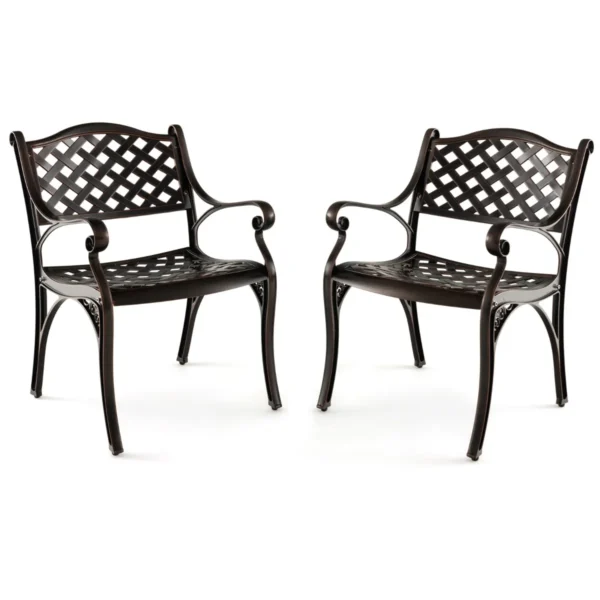Set van 2 tuinstoelen van gegoten aluminium weerbestendige terrasstoelen met armleuningen balkonstoelen voor tuin balkon achtertuin 1