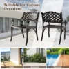 Set van 2 tuinstoelen van gegoten aluminium weerbestendige terrasstoelen met armleuningen balkonstoelen voor tuin balkon achtertuin 5