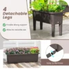 Set van 2 verhoogde bedden zelfwater gevende plantenbakken met afneembare poten en afvoergat voor groenten fruit koffie 6