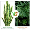 Snake kunstplant met stevige pot nep agave kunstplant voor thuis & kantoor 90cm geel 5