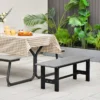 Tuinbank weerbestendig 2 zitsbank all weather parkbank van hdpe terrasbank zonder rugleuning voor tuin park balkon (grijs) 7