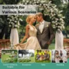 Tuinboog met trellis metalen poortboog met klassieke decoraties & 4 grondpennen plantensteun in boogvorm achtergronddecoratie 4