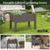 Verhoogd tuinbed zelfwatergevende plantenbak met waterniveau indicator plastic bloemencontainer voor groenten koffie 3