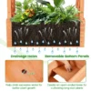 Verhoogde tuin met hekwerk houten plantvak met hangend dak drainagegaten voor klimplanten bloemen groenten plantbed 6