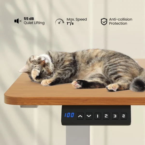 Product afbeelding