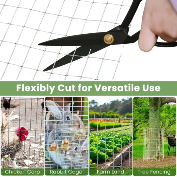 Product afbeelding