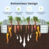 Product afbeelding