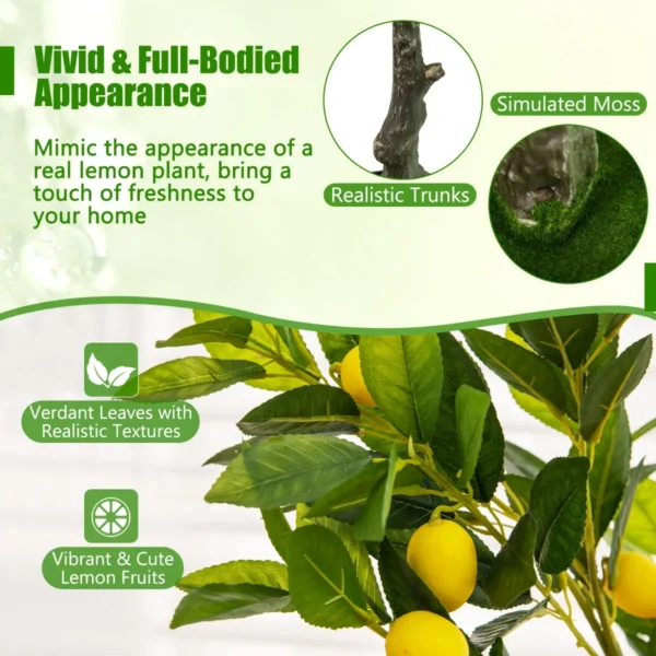 Product afbeelding
