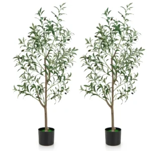 Product afbeelding