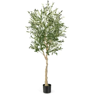 Product afbeelding