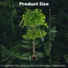 Product afbeelding