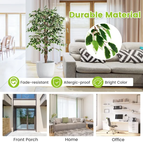 Product afbeelding