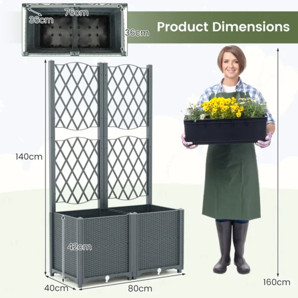 Product afbeelding