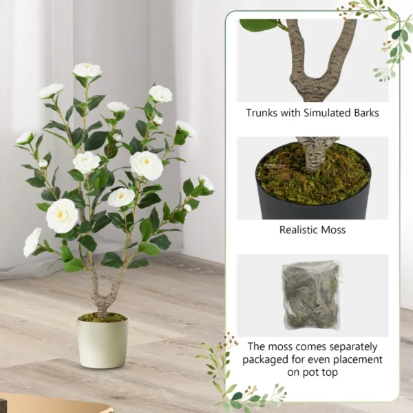 Product afbeelding