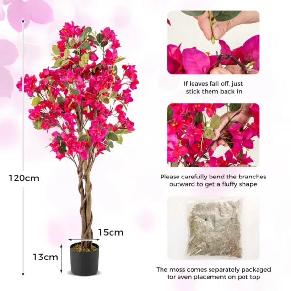 Product afbeelding