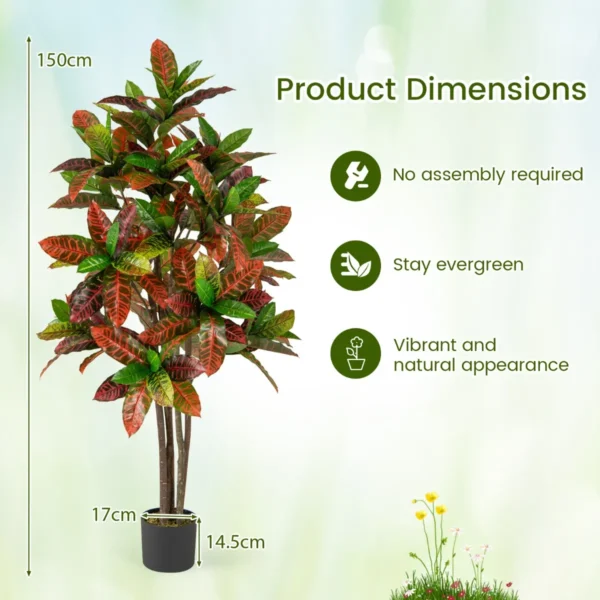 Product afbeelding